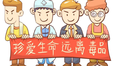 【南河】我是小小禁毒宣传员