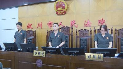 【视频】获刑8年3个月 汉川首例养老诈骗案一审宣判