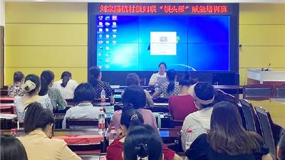 【刘家隔】妇联“领头雁”赋能培训班开班啦！