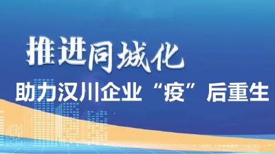 汉孝科技人才同城化助力汉川企业“疫”后重生