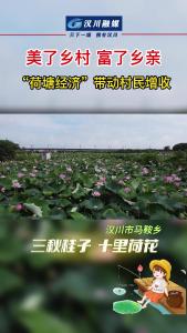 美了乡村 富了乡亲 “荷塘经济”带动村民增收