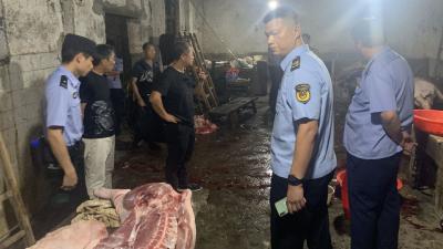 【综合】一非法屠宰生猪点被查处