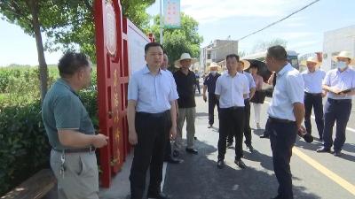 【视频】市领导调研乡村振兴“三项行动”