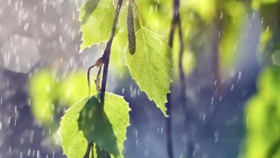 【气象局】雨҈雨҈雨҈！连下3天！