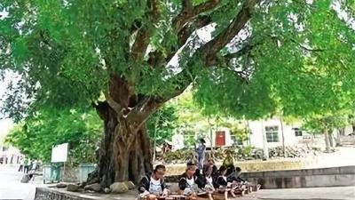 美文 | 王家垸子