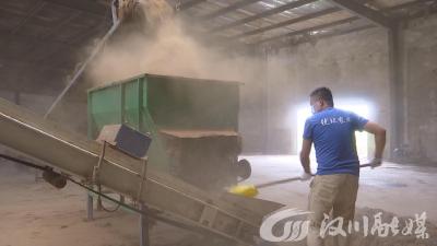 【视频】“秸”尽其用 点“秆”成金