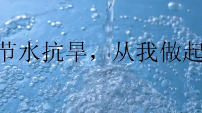 【自来水公司】您有一份节约用水指南，请查收！