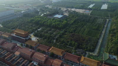 【湾潭】植此青绿 叩开乡亲们的“致富门”