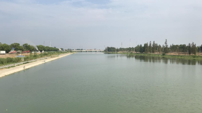 【水利局】河道“美容师” 清理水葫芦400余吨