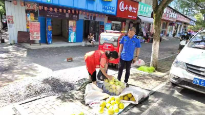 【沉湖】整治出店商户60余家 让镇容镇貌更“精致”