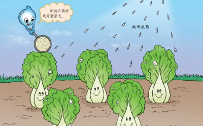 汉川市当前主要农作物生产抗灾技术指导意见