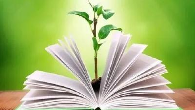 美文 | 曹黎：朔风吹来的心事