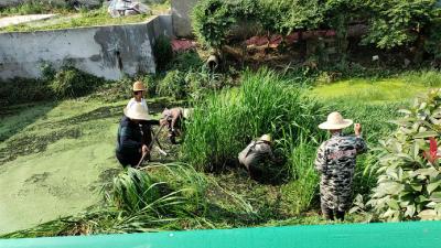 【汈东】全力抗旱保丰收