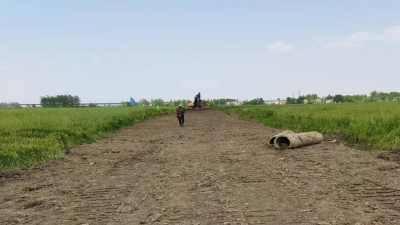 【沉湖】翻修2300米公路 助力乡村振兴
