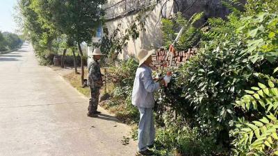 扮靓街道 干干净净迎国庆