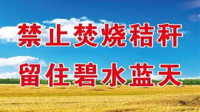 乡贤投入秸秆禁烧“练兵场”