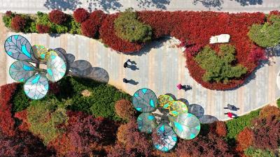 今年全国建设不少于1000个城市“口袋公园”！住建部发文