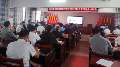 【回龙】“培训”+“测试” 夯实基层党建基本功