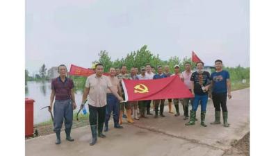 “四个一”汇聚党建合力赋能乡村振兴