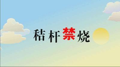 用好“四字诀” 强化全市秸秆禁烧工作