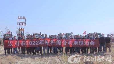 【视频】秸秆再利用 “包袱”变“财富”