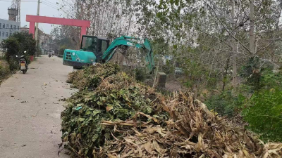 从“旁观者”变“参与者” 这个村这样做！