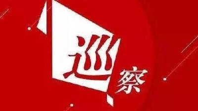 【视频】七届市委第一轮巡察开展情况反馈