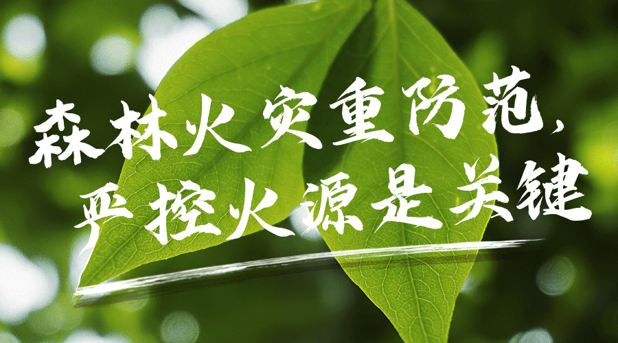 近期汉川温高雨少，注意森林防火！