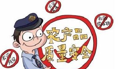 省农业农村厅领导来汉川开展粮食生产和农安县建设调研督导