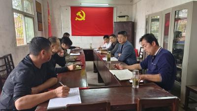 麻河镇召开“共同缔造”示范村建设启动座谈会