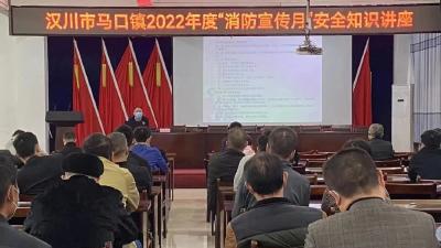 马口镇开展2022年度“消防宣传月”安全知识讲座