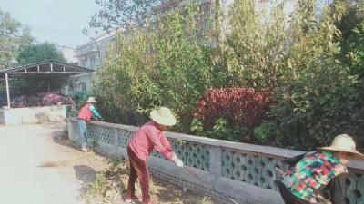 庙头镇中心台村：以成效助推美好生活共同缔造