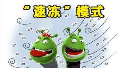 0℃，明天有雪！