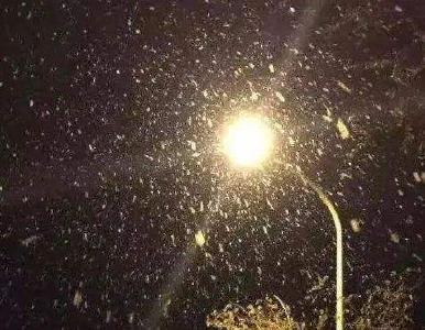 今夜有雪
