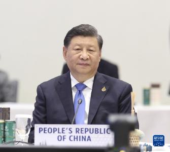 习近平继续出席亚太经合组织第二十九次领导人非正式会议