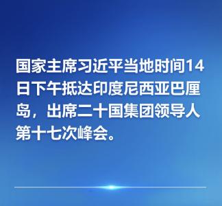 国家主席习近平当地时间14日下午抵达印度尼西亚巴厘岛 出席二十国集团领导人第十七次峰会