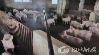 里潭乡启动冬季动物疫病防疫工作