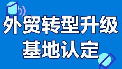 我市再添1个省级外贸转型升级基地