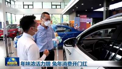 年味浓活力增 兔年消费开门红