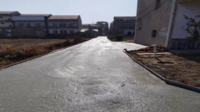 乡贤村民同上阵 共同修路显村风
