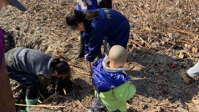 湾潭乡：小朋友下塘挖藕，体验别样劳动教育