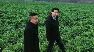 田间地头“开良方” 查墒探苗忙春管