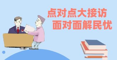 关于市乡两级领导干部第二轮 “点对点大接访、面对面解民忧”的公告 第（8）号