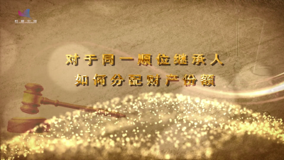 对于同一顺位继承人如何分配财产份额