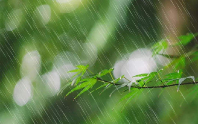 阴雨尚在持续，天气悄然回暖！