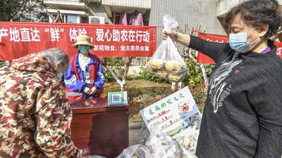 汉川滞销莲藕送到武汉市民餐桌  三小区一天采购4600斤 爱心助农行动仍在继续