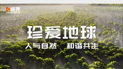 这是一个不能流浪的地球