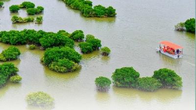 看图学习丨构建人与自然和谐共生的地球家园