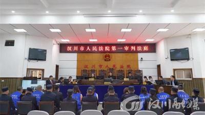 736人被骗1200余万元！汉川法院开庭审理汉川地区首例涉水产养殖合同诈骗案件