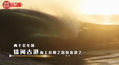 习近平广东行丨对接自贸港 共享新未来——走进徐闻港